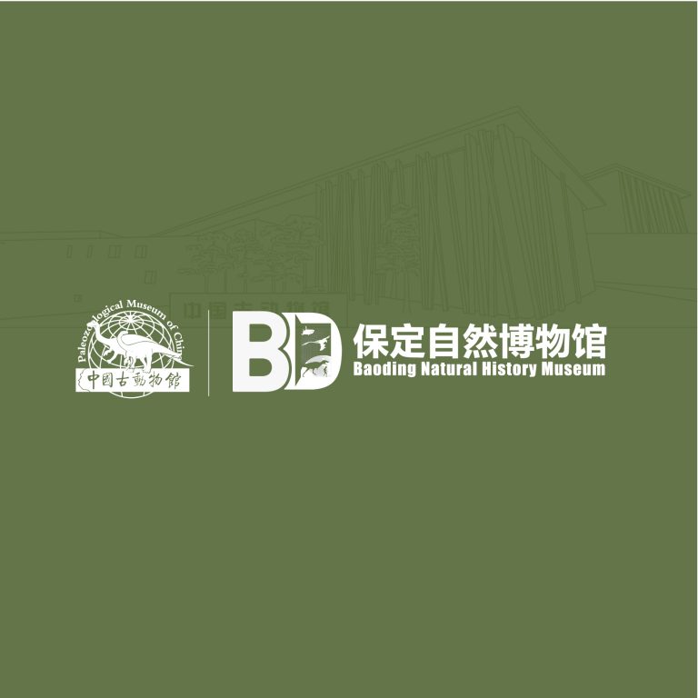 古动物馆头图-48
